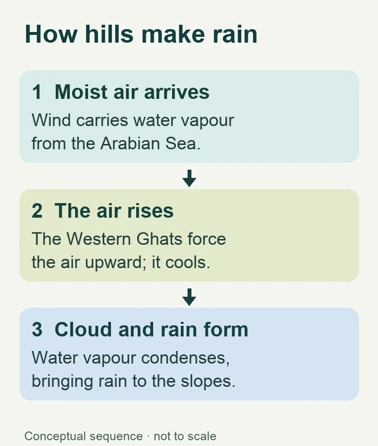 Three-step diagram: moist air from the Arabian Sea reaches the Western Ghats, rises and cools, and forms cloud and rain on the slopes.