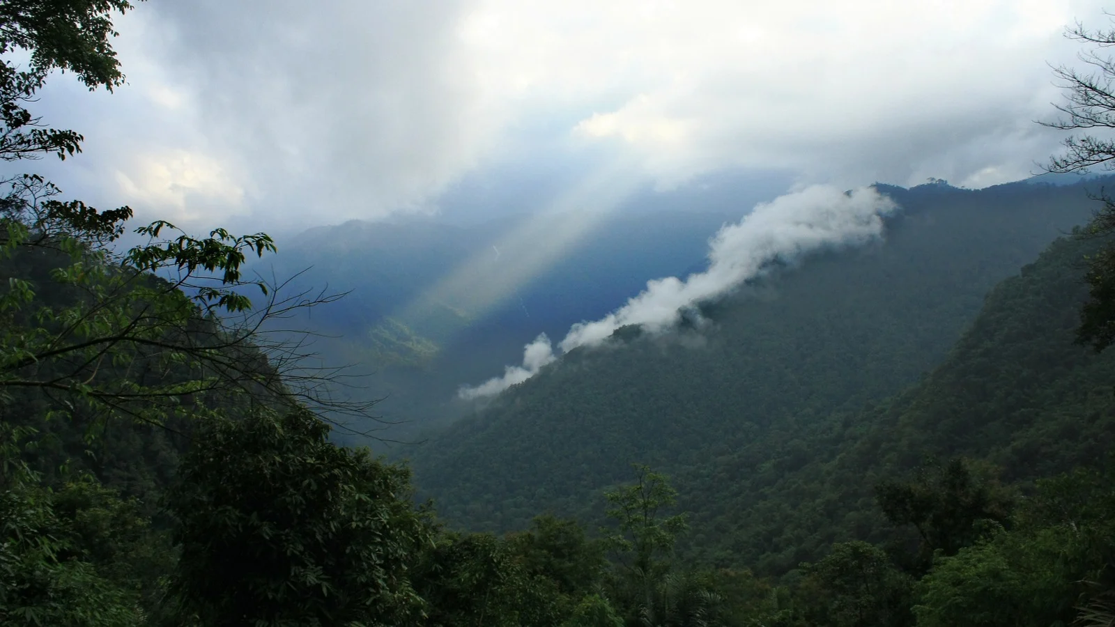 Forested Western Ghats slopes under heavy cloud, with a trail of white cloud lying along the hillside and a pale shaft of light falling into the valley.