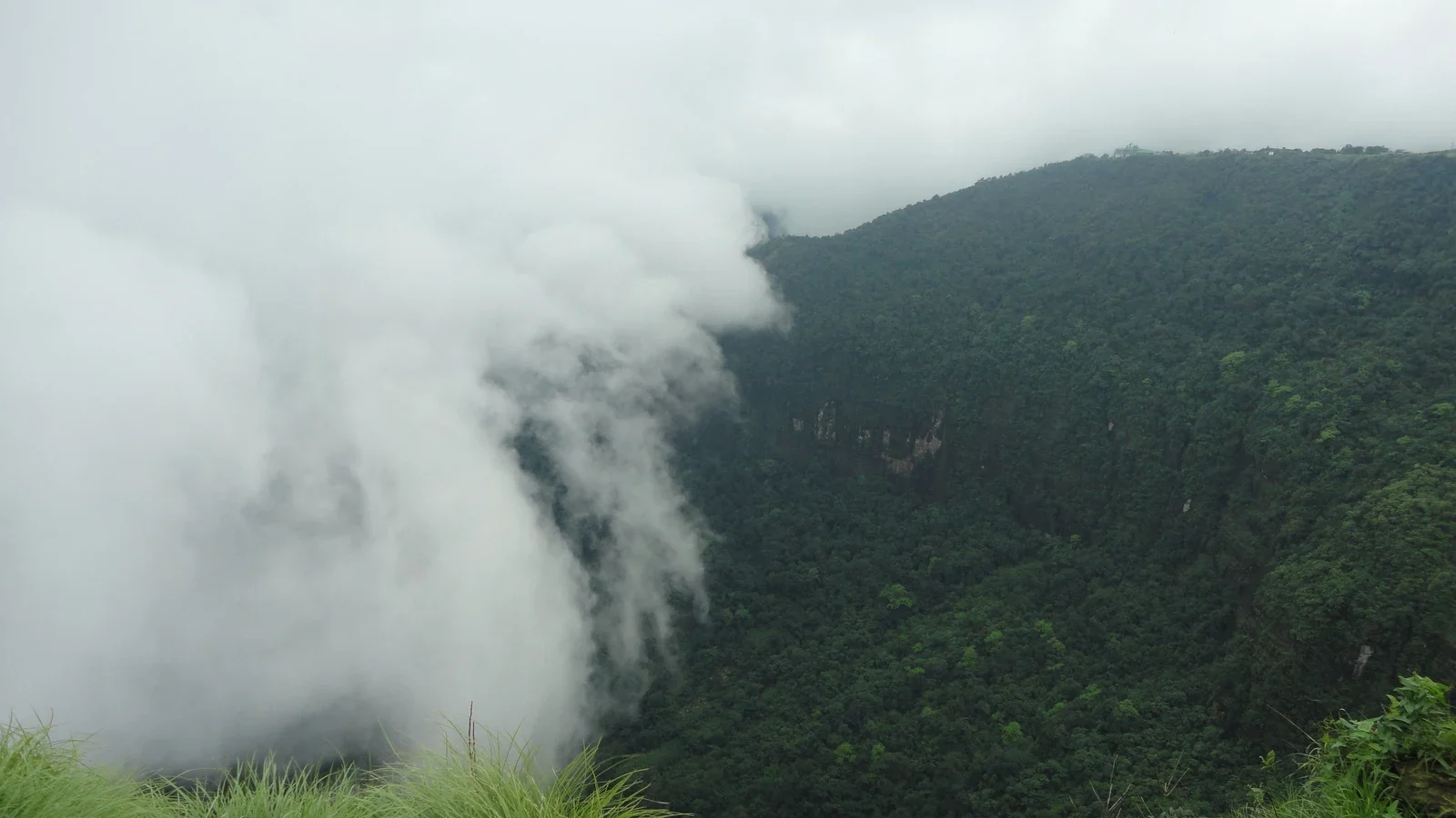Thick white cloud spilling over the edge of a steep, forested hillside, with green grass in the foreground, near Cherrapunji in Meghalaya.