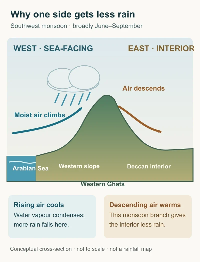 Conceptual west-to-east cross-section showing moist monsoon air rising and raining on the Western Ghats' western slope, then descending and warming over the Deccan interior.