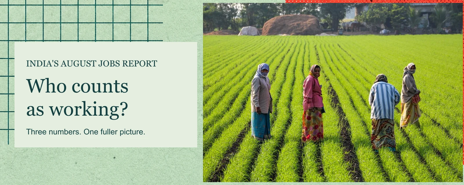 Archival photograph of women working in a rice field near Junagadh, Gujarat, alongside the question Who counts as working?