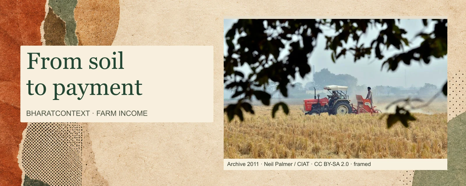 A tractor uses a Happy Seeder to sow wheat into rice stubble near Sangrur, Punjab, in November 2011.